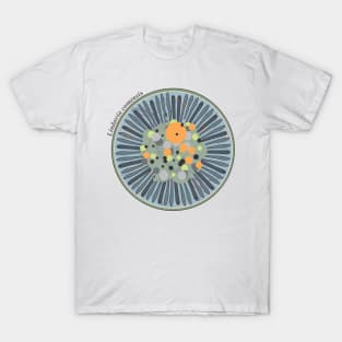 Diatom - Lindavia comensis (scientific) T-Shirt